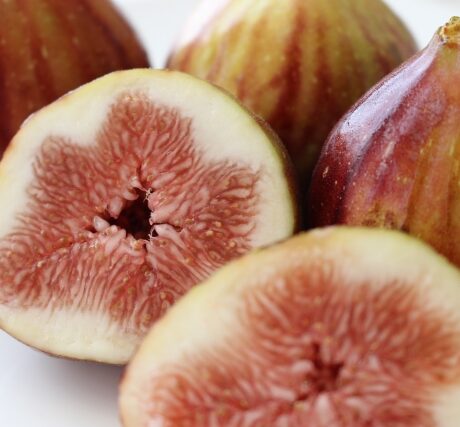 蟹江産いちじくPR販売のお知らせ | 蟹江町観光協会 かにナビ